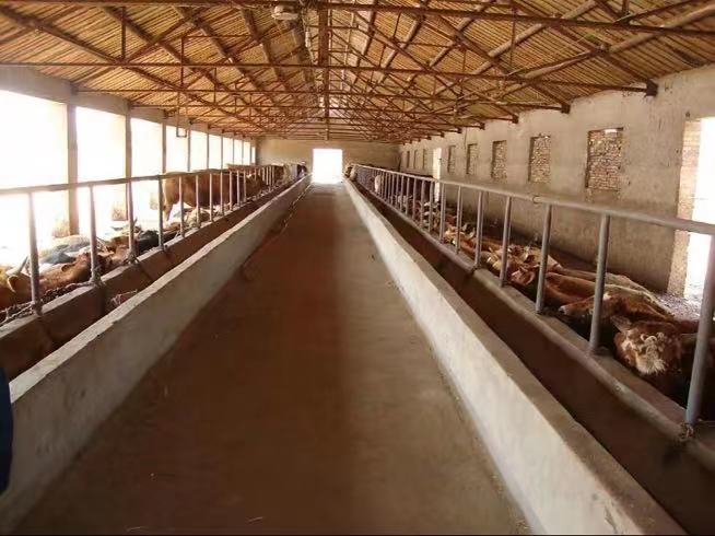 kinds of  poultry house
